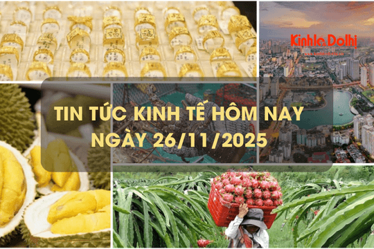 Tin tức kinh tế 26/11: tôm hùm Việt Nam bứt tốc, lập kỷ lục 712 triệu USD