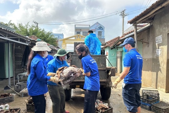 Toàn tỉnh Đắk Lắk tổng lực dọn dẹp môi trường, sớm ổn định đời sống