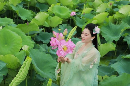Năng lượng trẻ trong dòng chảy đô thị Bài 2: HTX Xứ Đoài - Nông nghiệp xanh gắn với di sản