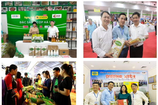 Từ làng nghề đến không gian số: Hành trình kể chuyện sản phẩm OCOP