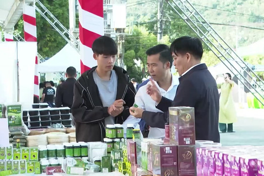 Đòn bẩy đưa nông sản vùng cao vươn xa