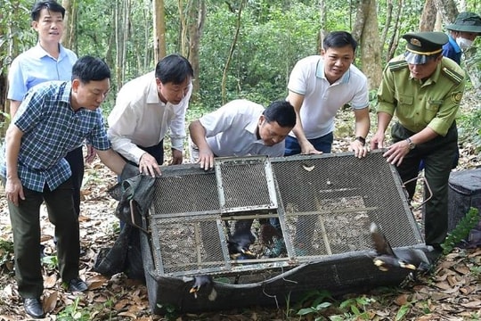 Hà Nội: Yêu cầu nhà hàng ký cam kết không tiêu thụ động vật hoang dã