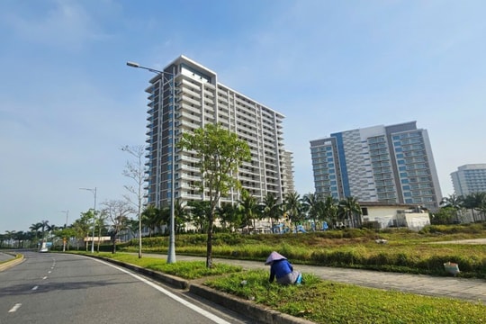 Thành lập Ban Quản lý Khu Kinh tế mở Chu Lai TP Đà Nẵng
