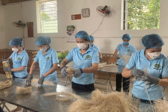 Hà Nội tăng tốc xuất khẩu nông sản sang Nhật Bản và Hàn Quốc