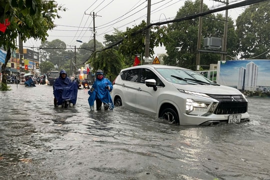 TP.HCM: Chủ động ứng phó với ảnh hưởng của bão số 15