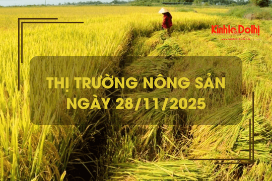 Thị trường nông sản ngày 28/11: giá gạo bật tăng