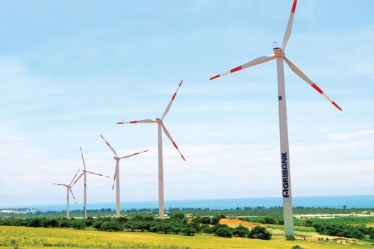 “Đồng vốn xanh” kiến tạo tương lai nông nghiệp Việt - Bài 4: Đưa carbon trở thành tài sản