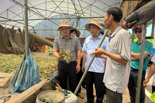 Bảo vệ môi trường nông thôn Hà Nội: "Đòn bẩy" cho xây dựng Nông thôn mới bền vững và đáng sống