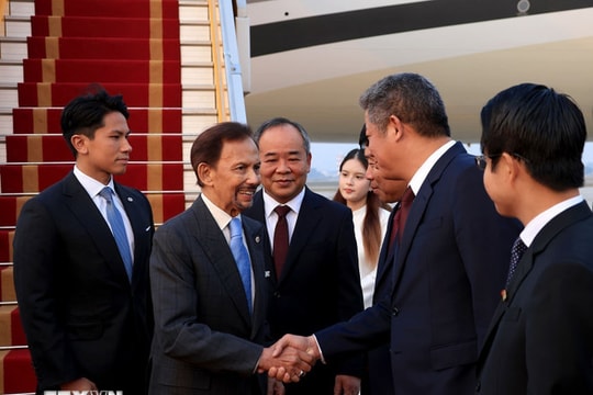 Quốc vương Brunei đến Hà Nội, bắt đầu chuyến thăm cấp Nhà nước tới Việt Nam