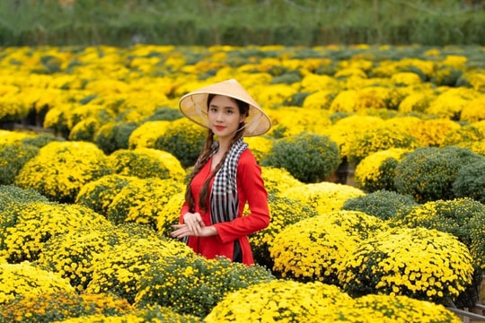 Festival Hoa - Kiểng Sa Đéc lan tỏa vẻ đẹp làng hoa trăm năm