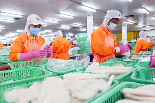 Tin tức đặc biệt trên báo in Hànộimới ngày 2-12-2025