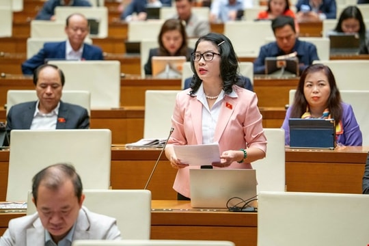 Phân quyền phải theo rủi ro môi trường, không theo địa giới hành chính