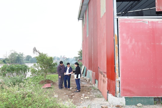 Hà Nội kiên quyết xử lý vi phạm công trình thủy lợi