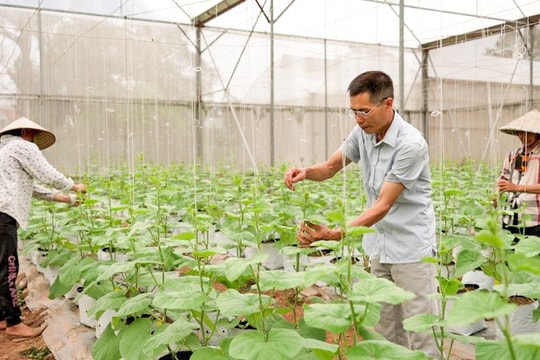 Giải báo chí toàn quốc về nông nghiệp, nông dân, nông thôn Việt Nam lần thứ III: Sân chơi lớn cho các nhà báo về “Tam nông”