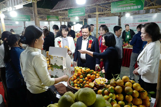 Động lực phát triển kinh tế nông thôn