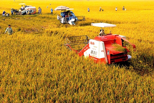 Phúc Thịnh xây dựng nền nông nghiệp xanh
