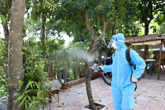 Hà Nội ghi nhận 170 ca sốt xuất huyết trong tuần