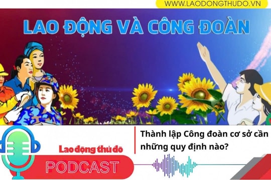 Thành lập Công đoàn cơ sở cần những quy định nào