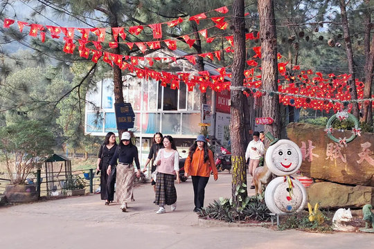 Kỳ nghỉ Tết Dương lịch tour ngắn ngày “lên ngôi”