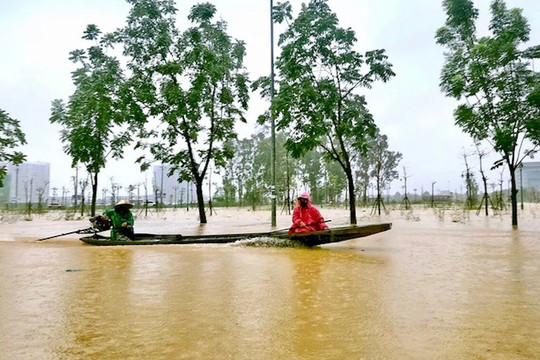 Ngân hàng Phát triển châu Á hỗ trợ Việt Nam 2 triệu USD khắc phục hậu quả thiên tai