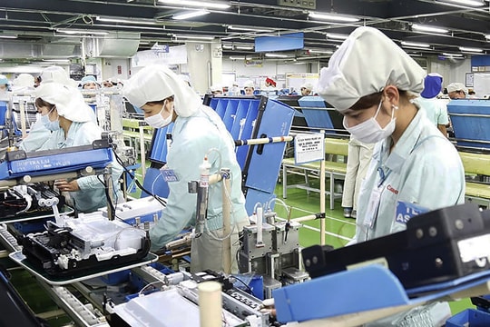 Hà Nội: Triển khai kế hoạch tuyên truyền tổng điều tra kinh tế 2026