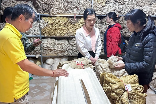 Sức bật mới của du lịch Hưng Yên