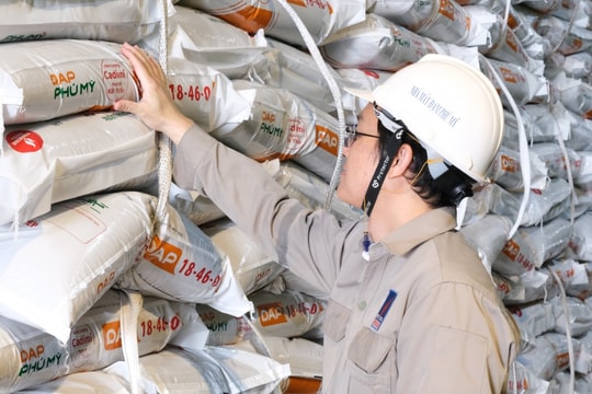 PVFCCo - Phú Mỹ ra mắt DAP Phú Mỹ, mở rộng danh mục sản phẩm