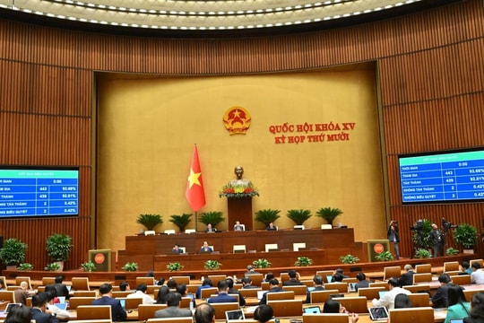 Mở rộng thêm phạm vi thành lập văn phòng giám định tư pháp ở một số lĩnh vực