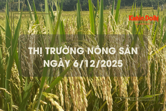 Thị trường nông sản ngày 6/12: giá gạo giảm nhẹ