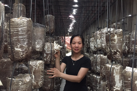 Từ những mô hình nông nghiệp mới, gieo mầm khát vọng đổi thay