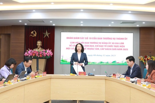 Phó Chủ tịch UBND thành phố Hà Nội Vũ Thu Hà làm việc với xã Gia Lâm