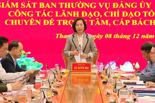 Trưởng Đoàn giám sát số 9 của Ban Thường vụ Thành ủy Hà Nội Bùi Huyền Mai: Thanh Trì phải định hình rõ lộ trình hướng tới mục tiêu lên phường năm 2030