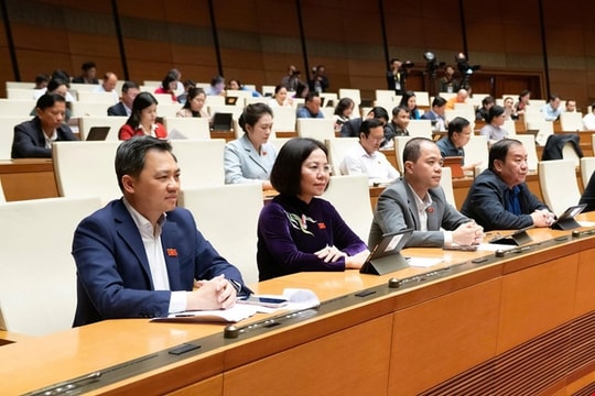 Đầu tư Cảng hàng không Gia Bình gắn với đảm bảo sinh kế cho người dân nằm trong phạm vi dự án