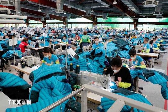 35 năm quan hệ Việt Nam - EU: Nâng tầm đối tác
