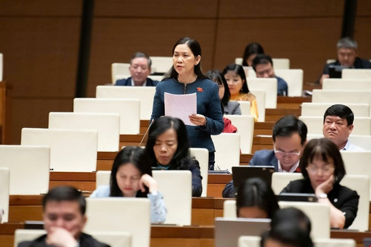 Đề nghị chuyển từ “trả lời” sang “giải quyết” kiến nghị của cử tri