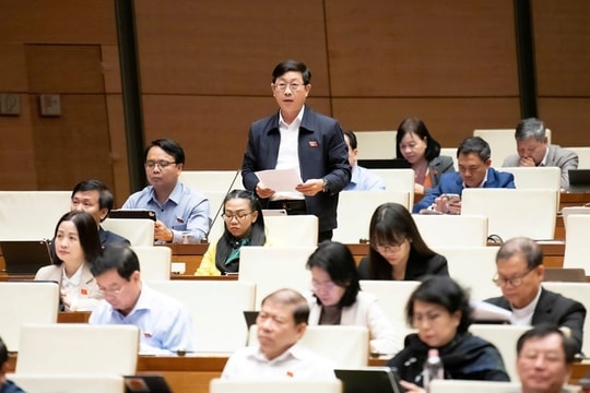 Đại biểu Quốc hội đề nghị mở các đợt cao điểm xử lý tội phạm lừa đảo trên không gian mạng