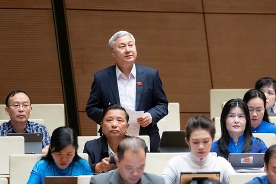 Đại biểu đề nghị phân bón thuộc diện không chịu thuế giá trị gia tăng