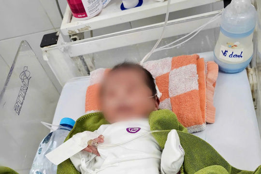 Gia Lai: công nhân cứu sống bé gái sơ sinh bị vùi lấp trong lô cao su giữa đêm lạnh