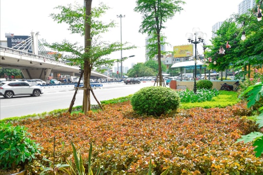 Hà Nội: Duy trì cảnh quan tuyến đường Vành đai 2 sạch đẹp
