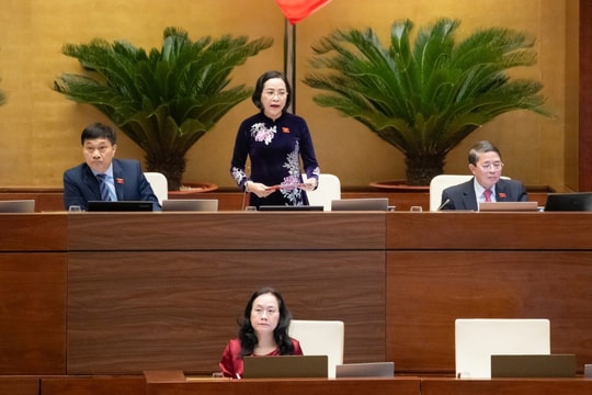Quốc hội biểu quyết thông qua Luật Dân số