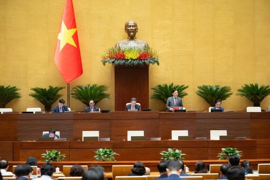 Nâng cao chất lượng đội ngũ viên chức gắn với vị trí việc làm