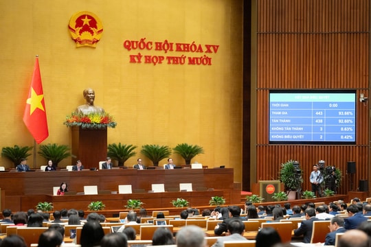Quốc hội "chốt" mức doanh thu không phải nộp thuế của hộ, cá nhân kinh doanh là 500 triệu đồng/năm