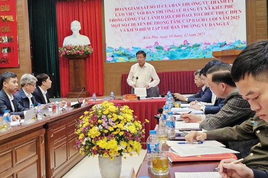 Phó Chủ tịch Thường trực UBND thành phố Dương Đức Tuấn giám sát tại xã Kiều Phú