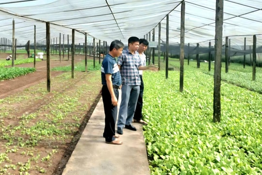 Hội Nông dân Sơn Đồng chung sức cùng địa phương xóa nghèo