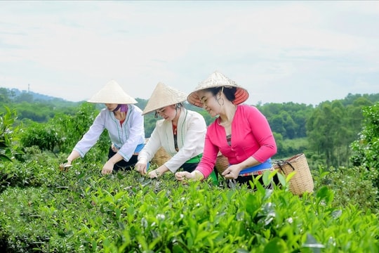 Hà Nội nỗ lực thu hẹp khoảng cách phát triển giữa vùng dân tộc thiểu số miền núi và đô thị
