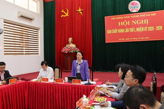 Đẩy mạnh giải ngân Quỹ Hỗ trợ nông dân để giúp hội viên phục hồi sản xuất sau mưa lũ
