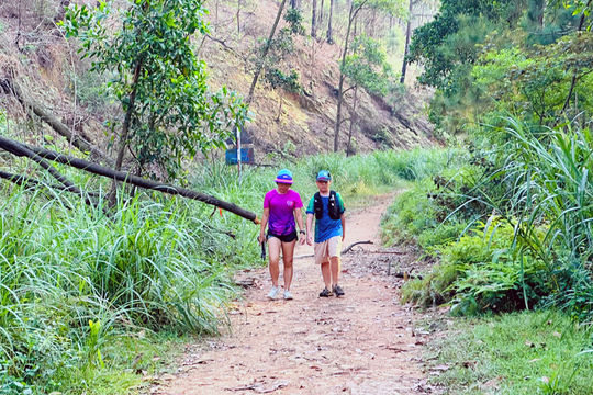 Núi Hàm Lợn - "thiên đường" trekking của Hà Nội