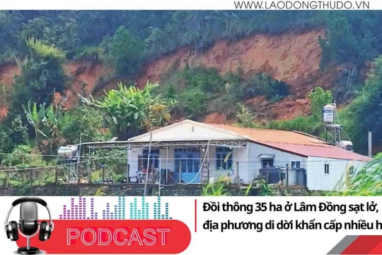 Điểm những tin nổi bật sáng ngày 12/12/2025: Đồi thông 35 ha ở Lâm Đồng sạt lở, địa phương di dời khẩn cấp nhiều hộ dân