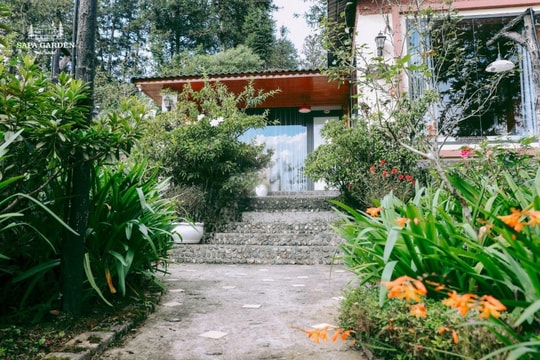 Sapa Garden Retreat và hành trình tạo nên sự bình yên bên trong homestay “cổ tích”