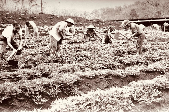 Bài 2: Từ một chủ trương đúng mở ra trang sử di dân